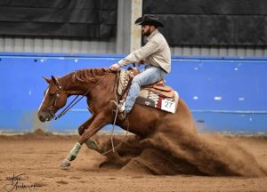 Steph in equestrian competition