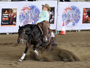 Mitch and Steph equestrian portrait 2
